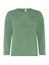 Fennel Green